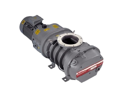 photo0__2_-removebg-preview